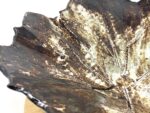 Pressed Leaf Terracotta Bowl — styling detail